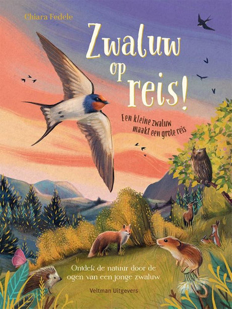 Zwaluw op reis! 4+ | 2 stuks