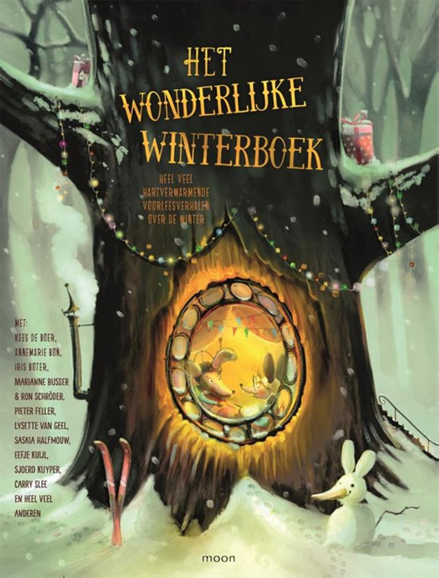 Het wonderlijke winterboek