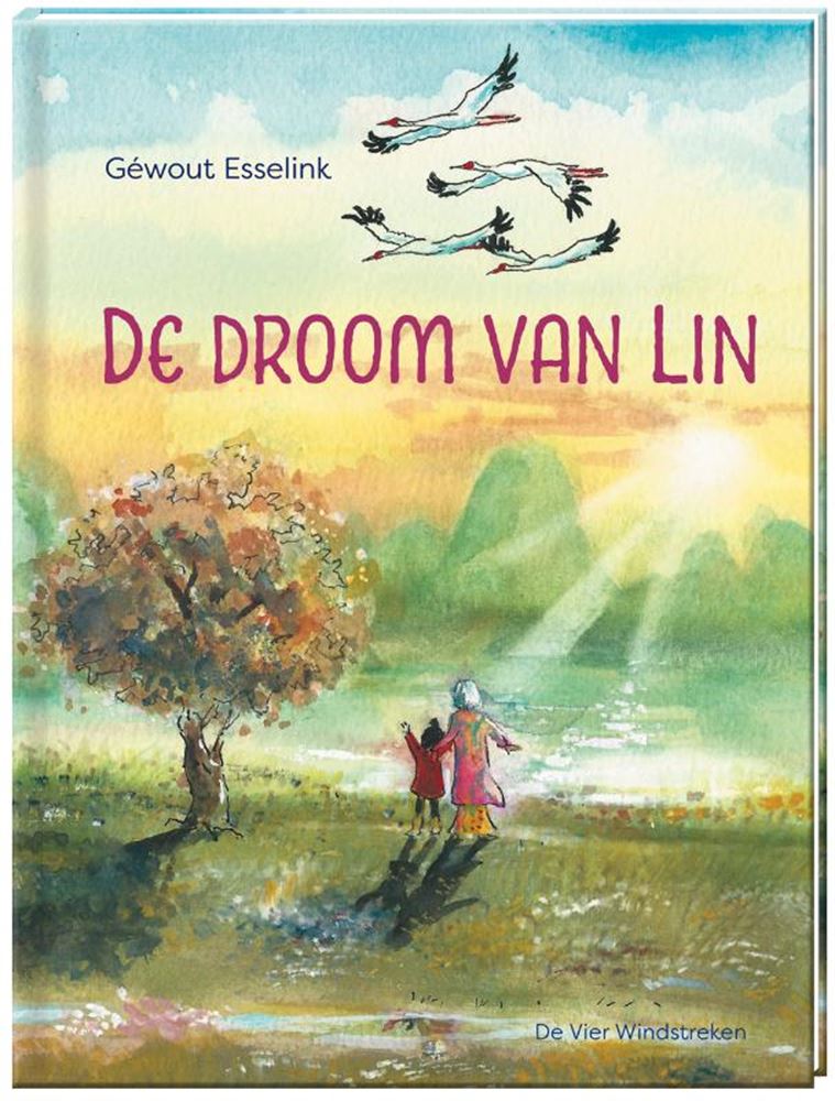 Prentenboek: de droom van lins. 4+ | 2 stuks