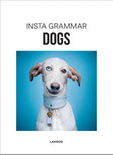 Insta grammar: dogs