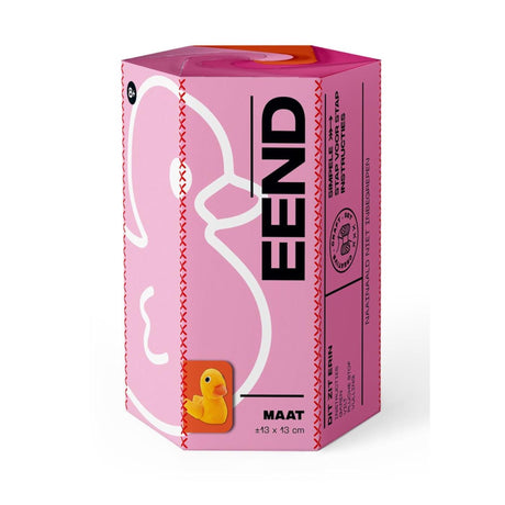 Imagebooks arts craft set - eend