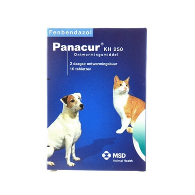 Chat de chien Panacur