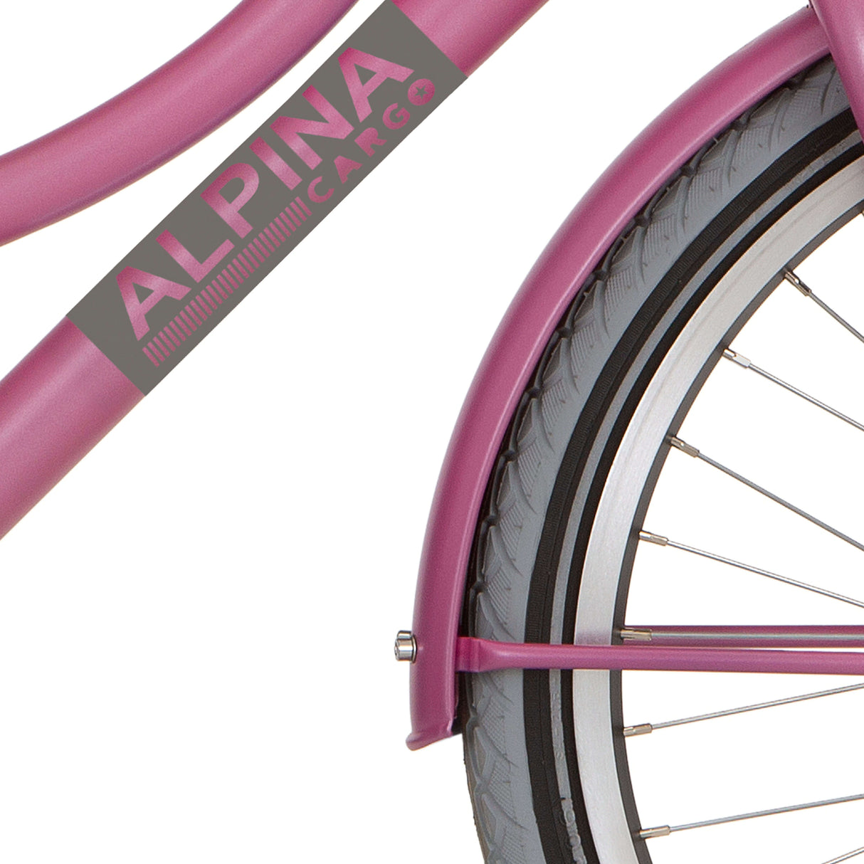 Alpina Fortboard Set 20 tovornih fuchsia roza matt