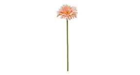 Single gerbera 55cm zalm
