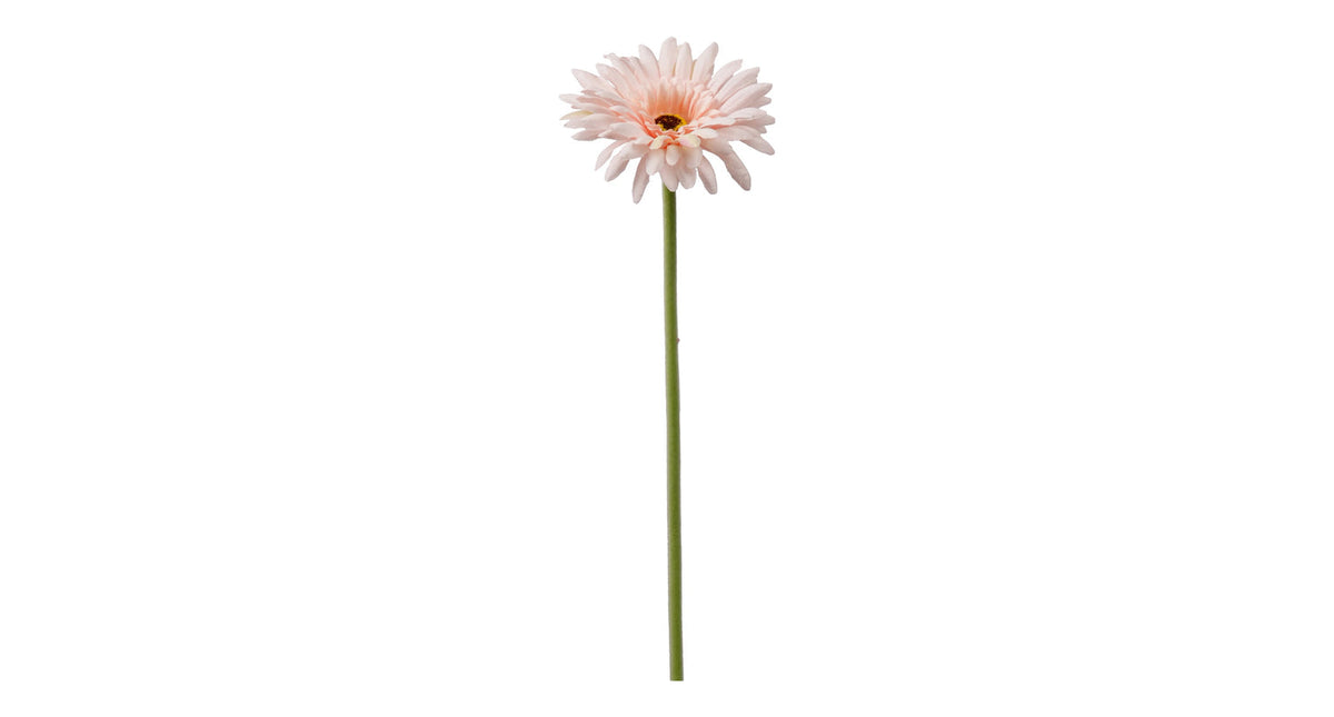Single gerbera 55cm lichtroze
