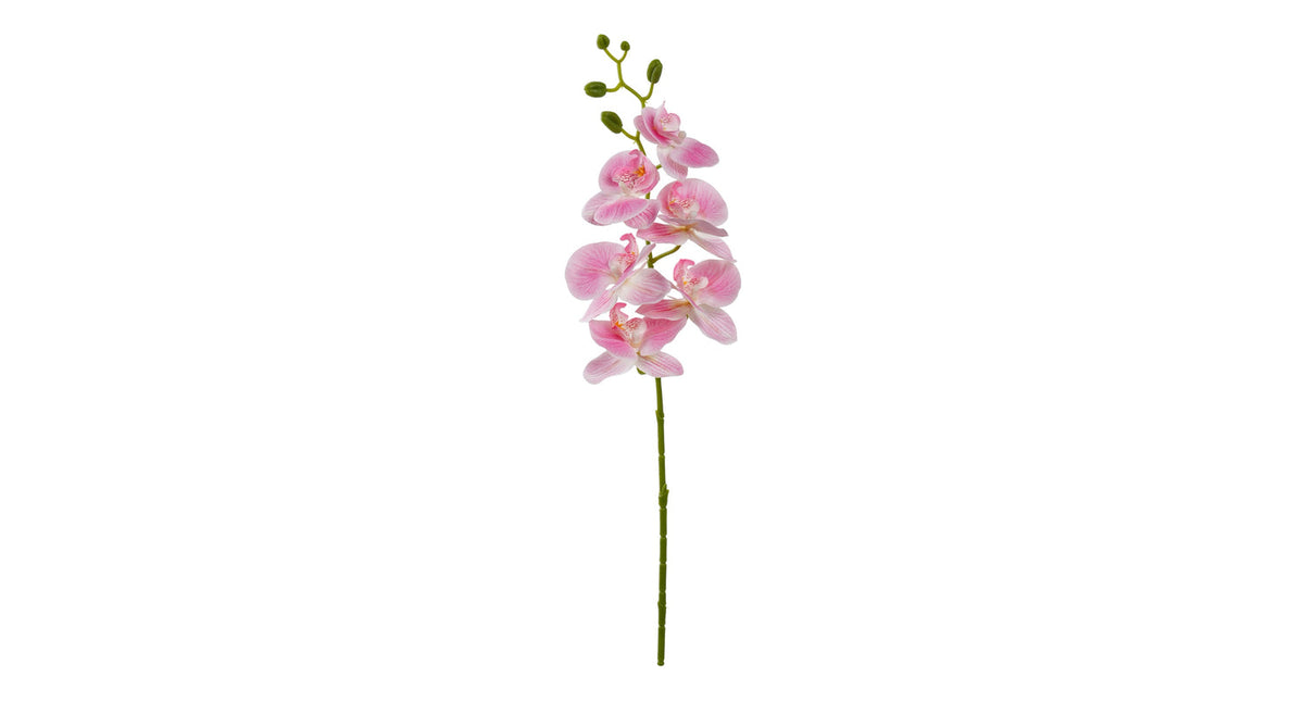 Orchidee tak x6 leaves 72cm pink