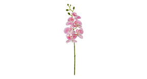 Orchidee tak x6 leaves 72cm pink