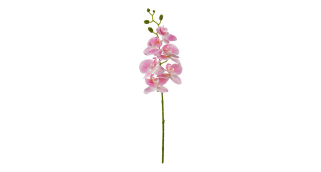 Orchidee tak x6 leaves 72cm pink