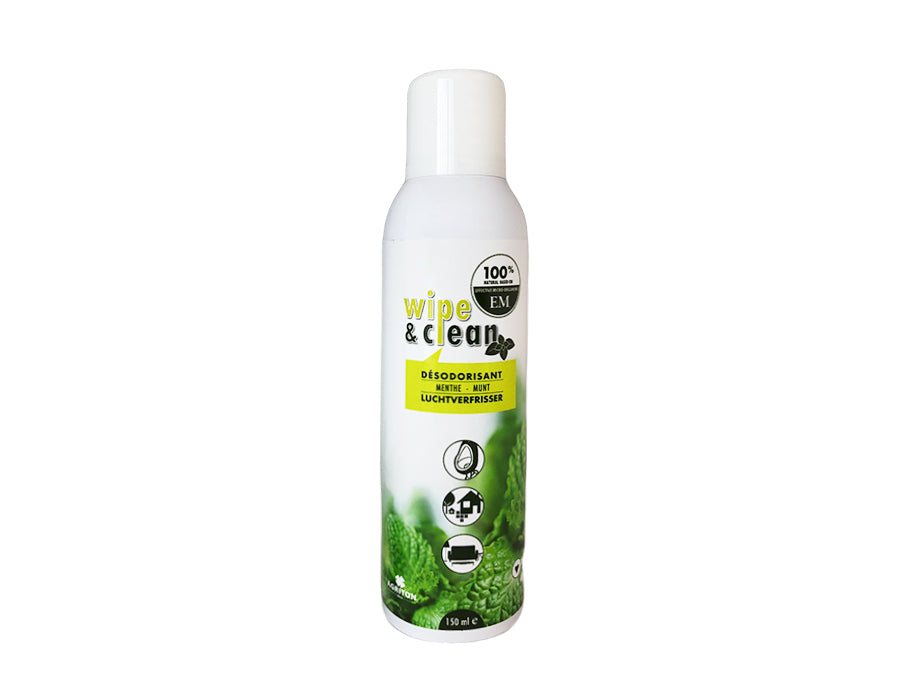 Emiton Air Frisher pulizia pulita Mint 150ml