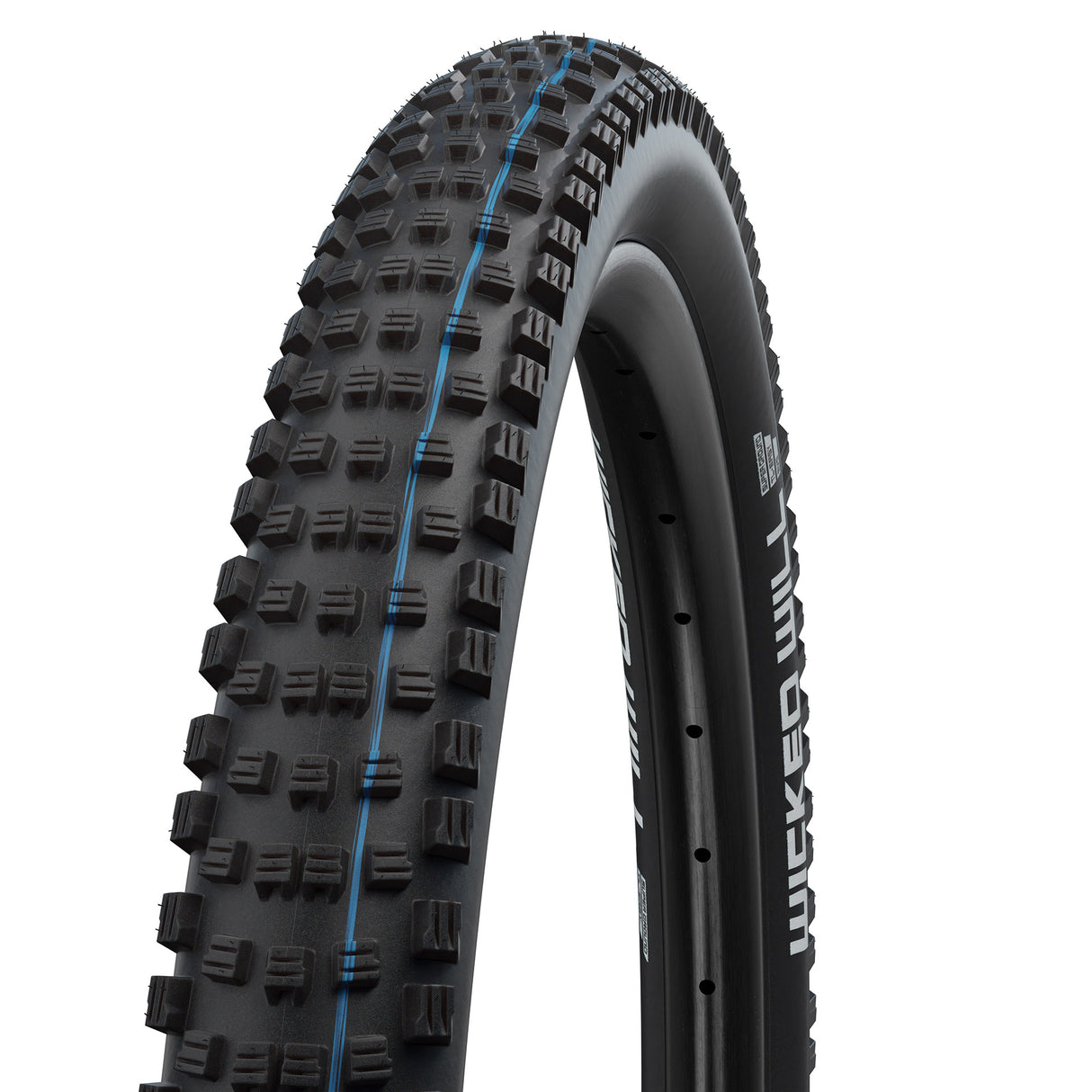 Schwalbe tire 29-2.25 (57-622) Will EVO SuperG E50 ZW.