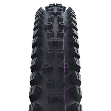 Schwalbe Tire 29-2.40 (62-622) Tacky Chan Evo Downhill Black Folding Band