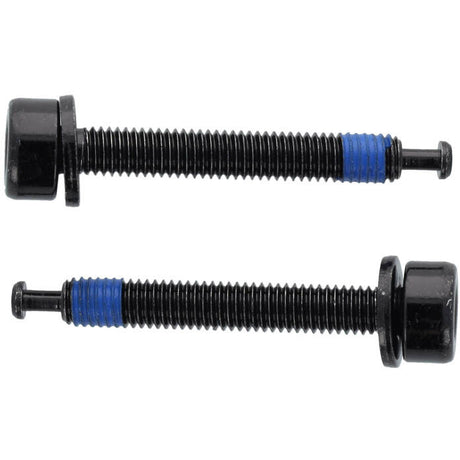 Elvedes flatmount bouten 1paar m5 � 38mm met uiteinde shimano