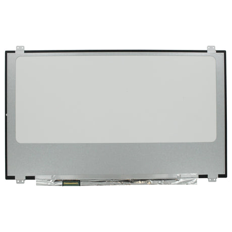 OEM 17,3 tum LCD -skärm 1920x1080 MAT 40PIN EDP, IPS, 120Hz