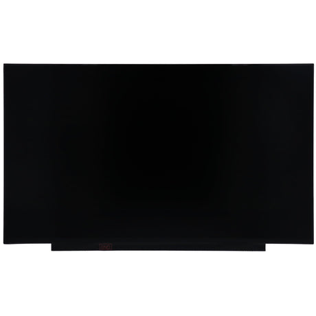 OEM 17,3 tum LCD -skärm 1600x900 matta, 30pin