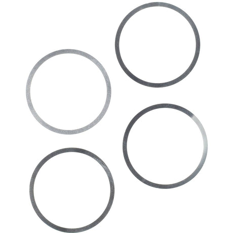 Elvedes remd elv vulschijf db cl is rvs 0.2mm ds a 4