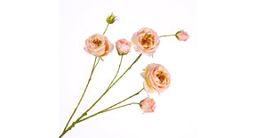 Rosa spray pink light 94cm