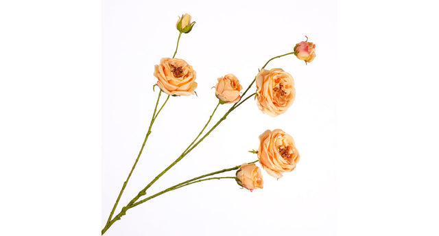 Rosa spray peach 94cm