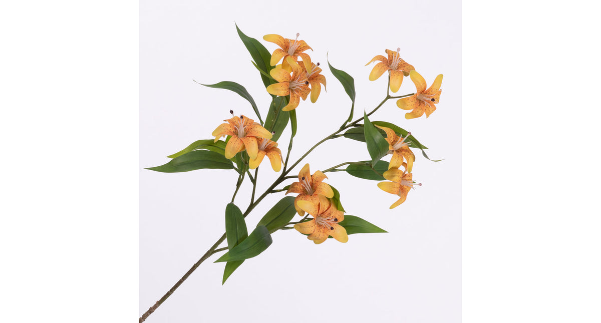 Lilium spray orange 78cm