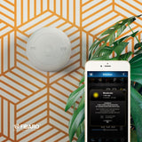 Sensore Fibaro Co.