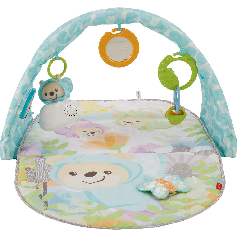Fisher-Price Vlinderdromen Speelgym met Muziek
