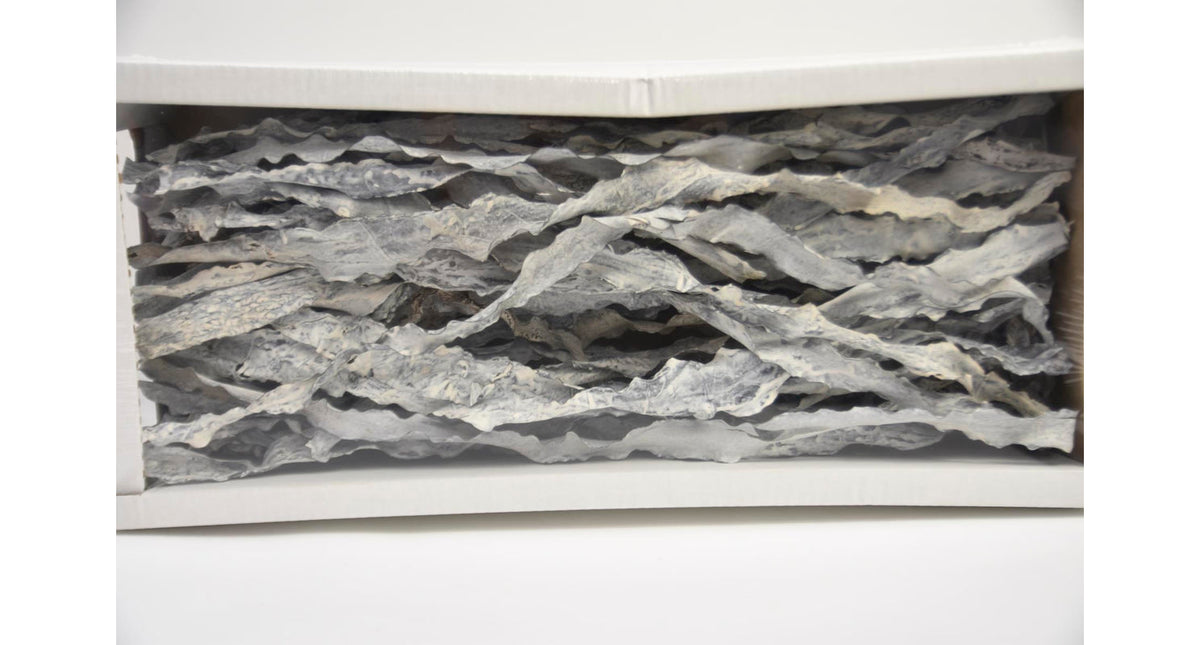 Kelp hair white-wash (400g)
