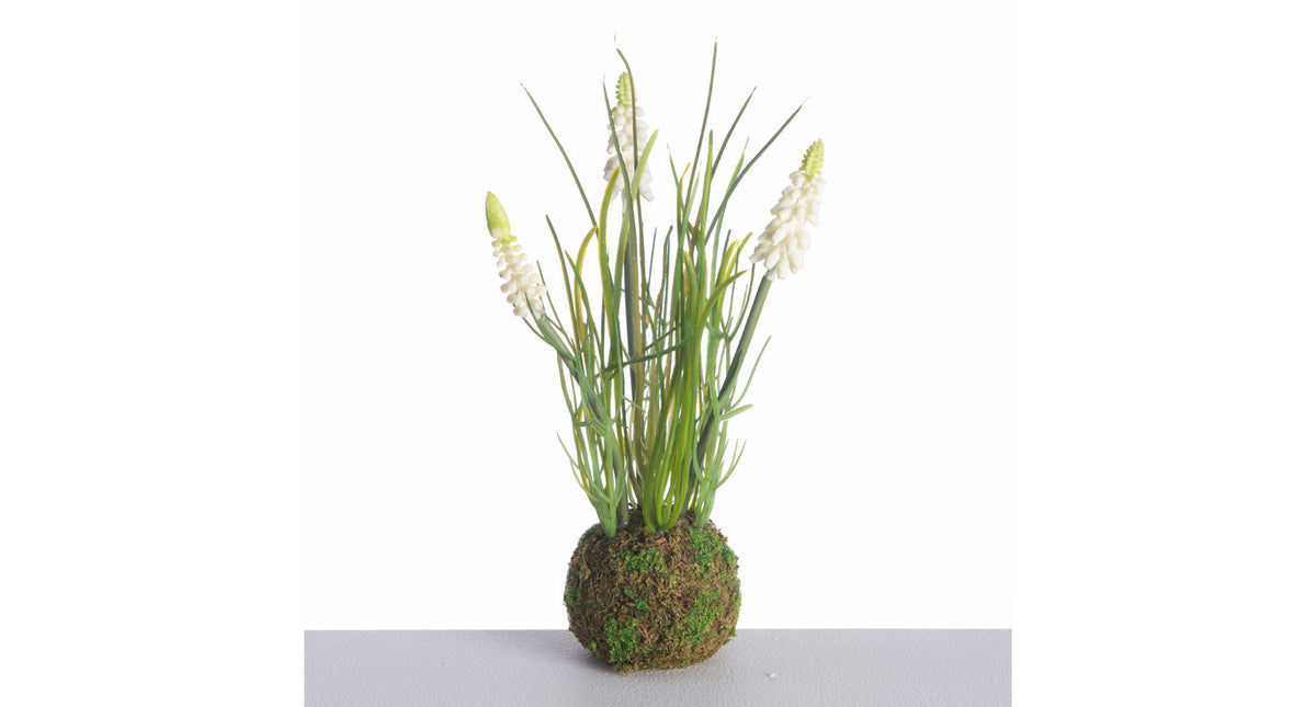 Muscari x3 on mossball l24cm white