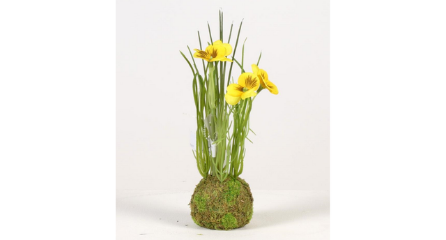 Viola on mossball h24cm yellow