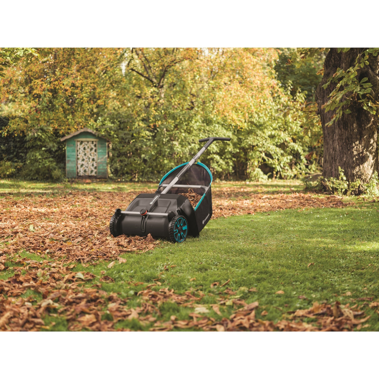 Collezionista di foglie di gardena