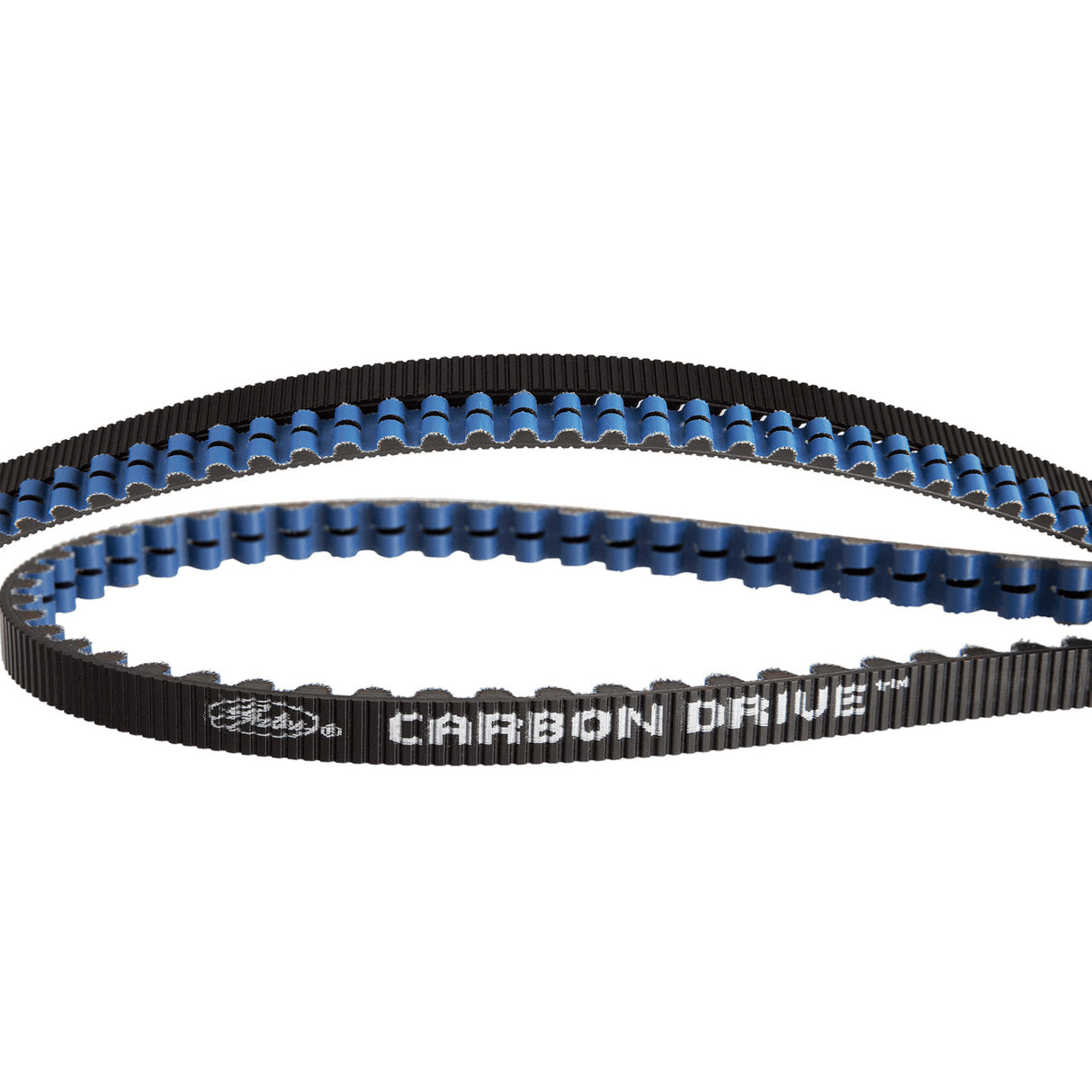 Gates CDX RIEM 115 TODS Black Blue (1265mm)