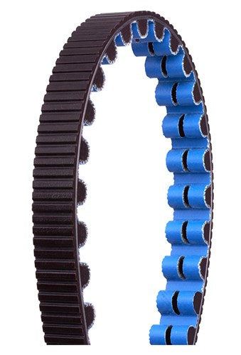 CDX Belt 108 Tands 1188 mm Black Blue