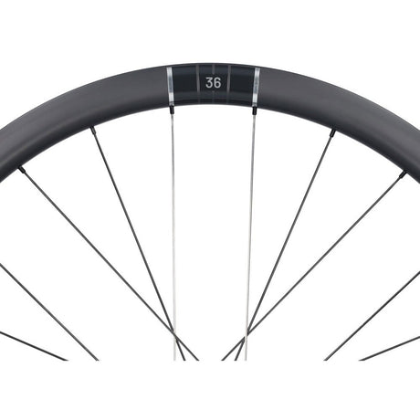 Miche wielset kleos rd 36 team edition shimano hg tubeless