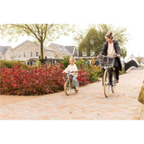 Steco b.v. steco draadmand vintage staal chroom
