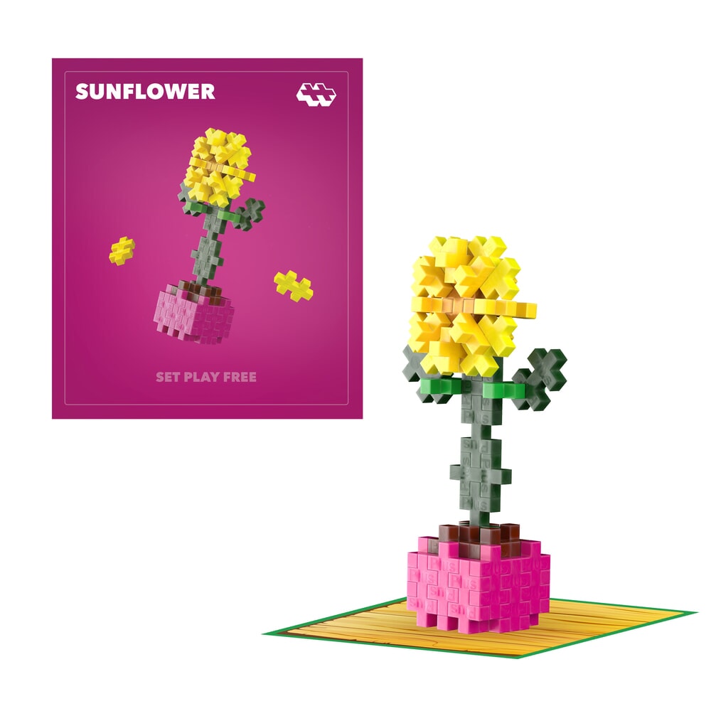 Plus plus plant packs - sunflower plus-plus flowers plants (4340)