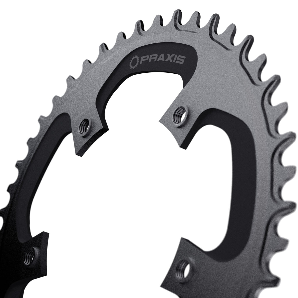 Praxis kettingblad 1x e-ring 110bcd m8 44t