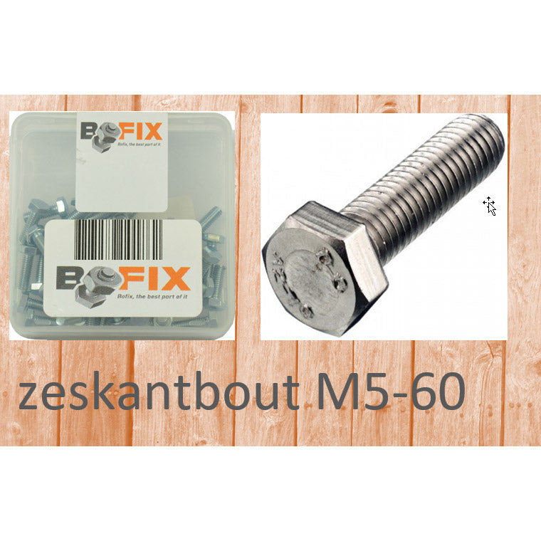 Bofix Hexagon Bolt M5X60 (25st)