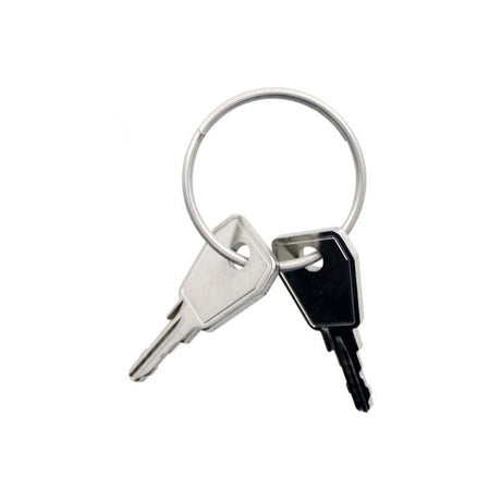 Thule Yepp sleutel Nexxt P9 2 stuks