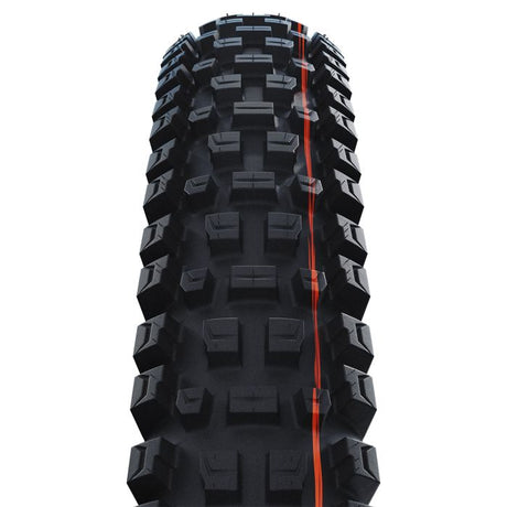 Schwalbe albert - tlr - addix ultra soft - gravity pro - radial - 29x2.50 - black