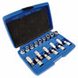 Silver torx socket set 19el.