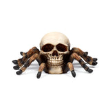 Schedel met spinnenpoten