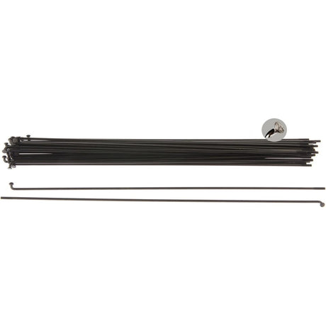 Alpina Spaken 13G (2,34mm) 246mm RVS Zwart (P36)