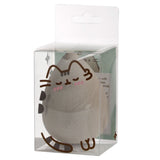 Union pusheen kat make up spons