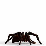 Schleich Harry Potter Aragog