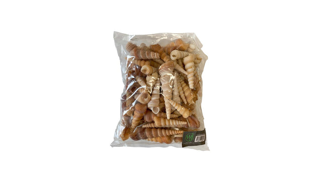 Turritella terebra 500gr