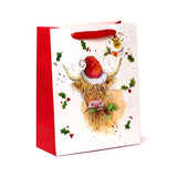 Jan pashley kerstmis highland coo cadeautasje l