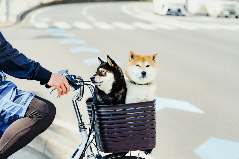 Fietsmanden & Kratten