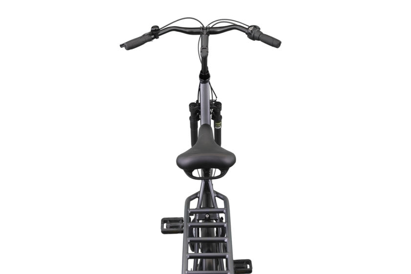 Altec delta 28 inch 50 cm dames 3v rollerbrake matgrijs