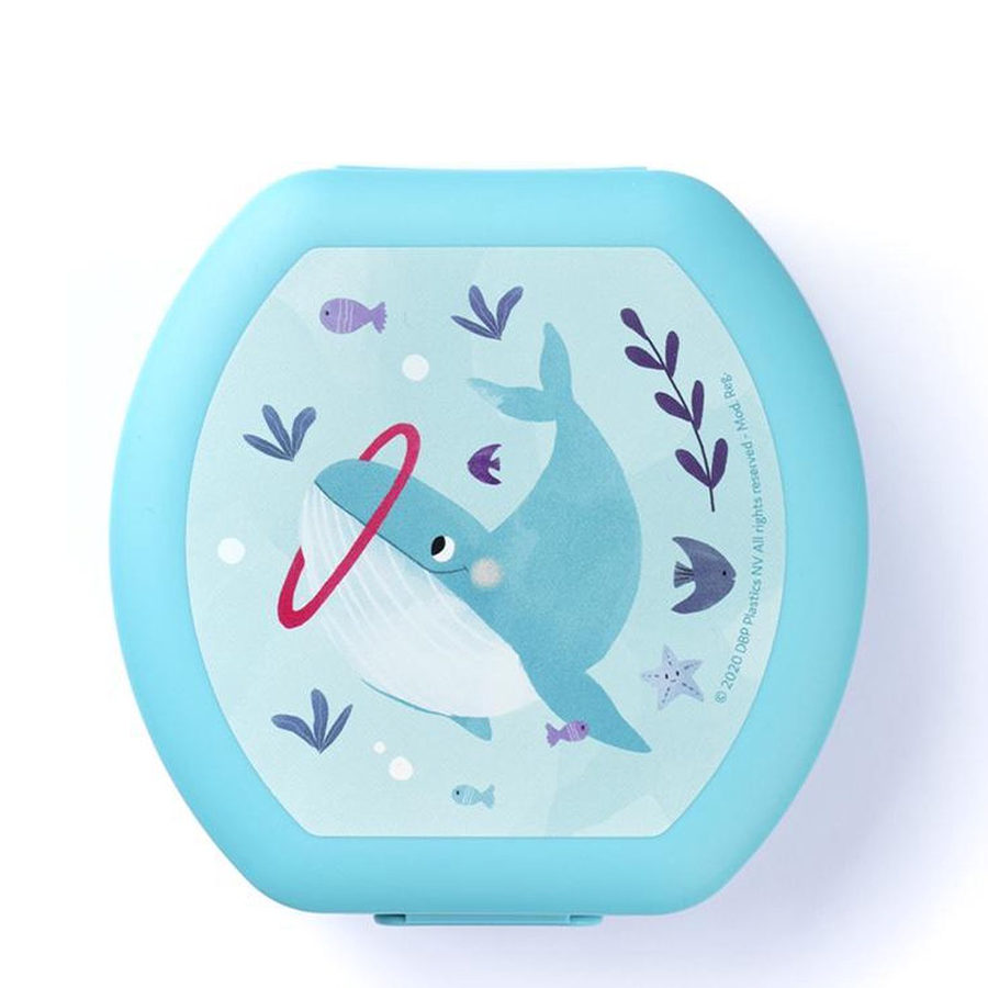 Amuse snackbox small rond blauw walvis