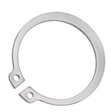 Asborgring 22mm rvs d471