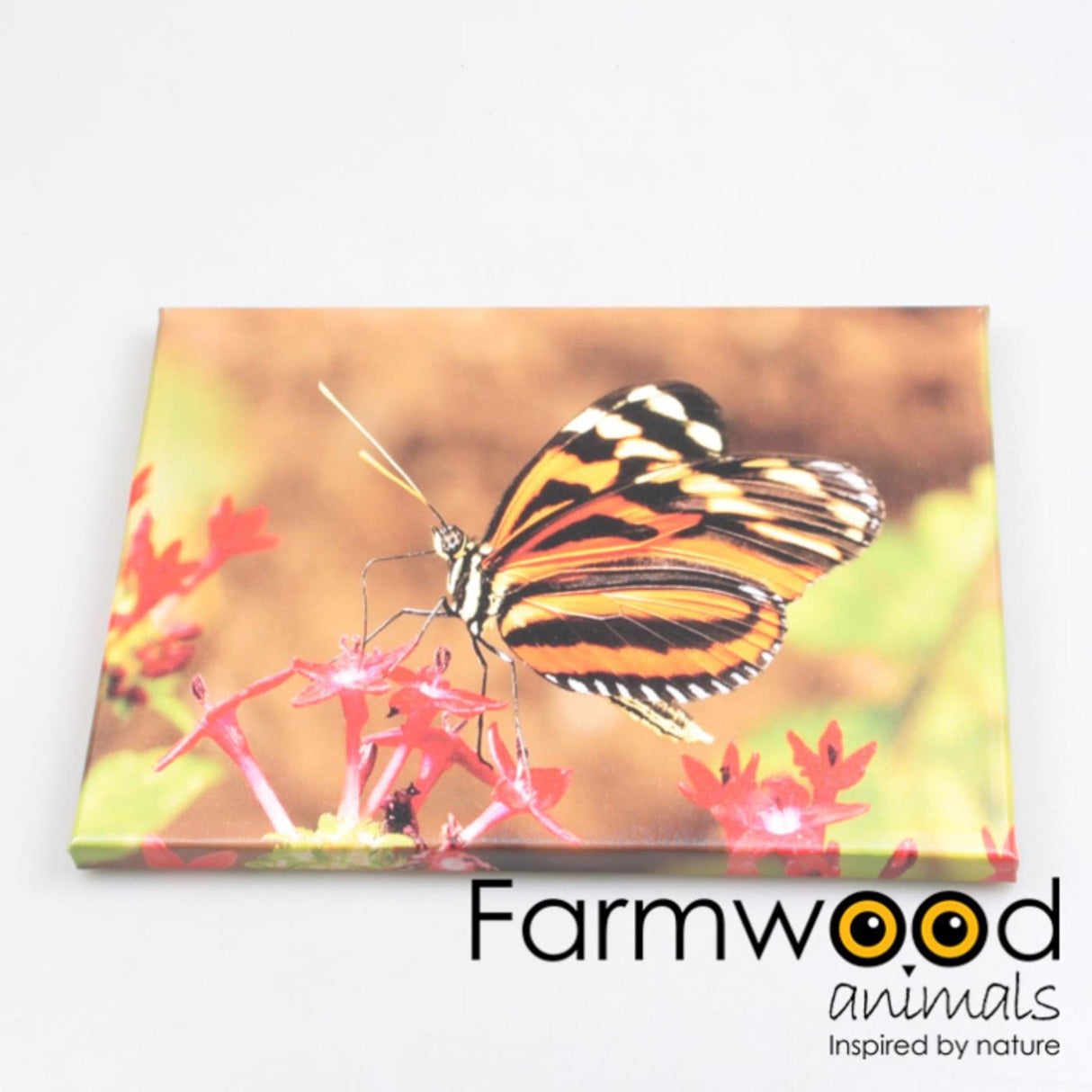Farmwood animals buitenschilderij vlinder 30x40cm