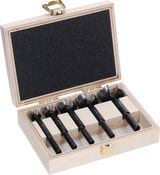 Bosch accessoires expert wood forstner borenset | 5 stuks - 2608901843